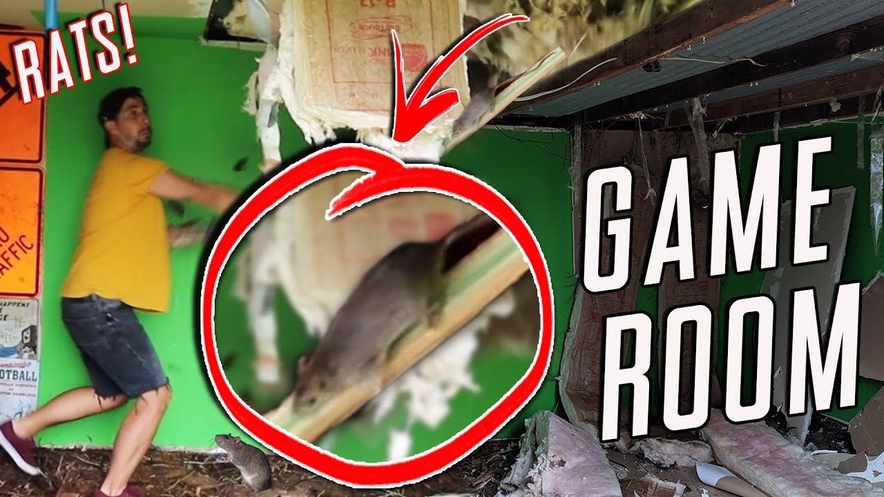 RATS RUINED MY GAME ROOM - MY NEW GAME ROOM and ARCADE! | Retrounlim